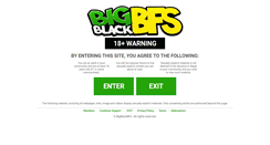 Desktop Screenshot of bigblackbfs.com